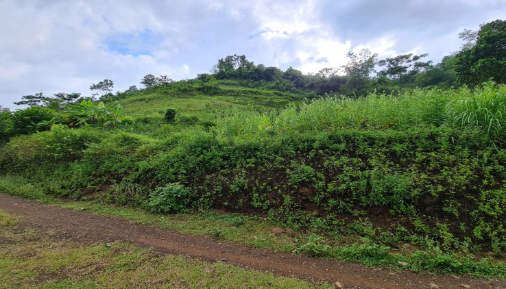 BÁN GẤP 6000M LÀM NGHỈ DƯỠNG VIEW CỰC ĐẸP TẠI CAO PHONG